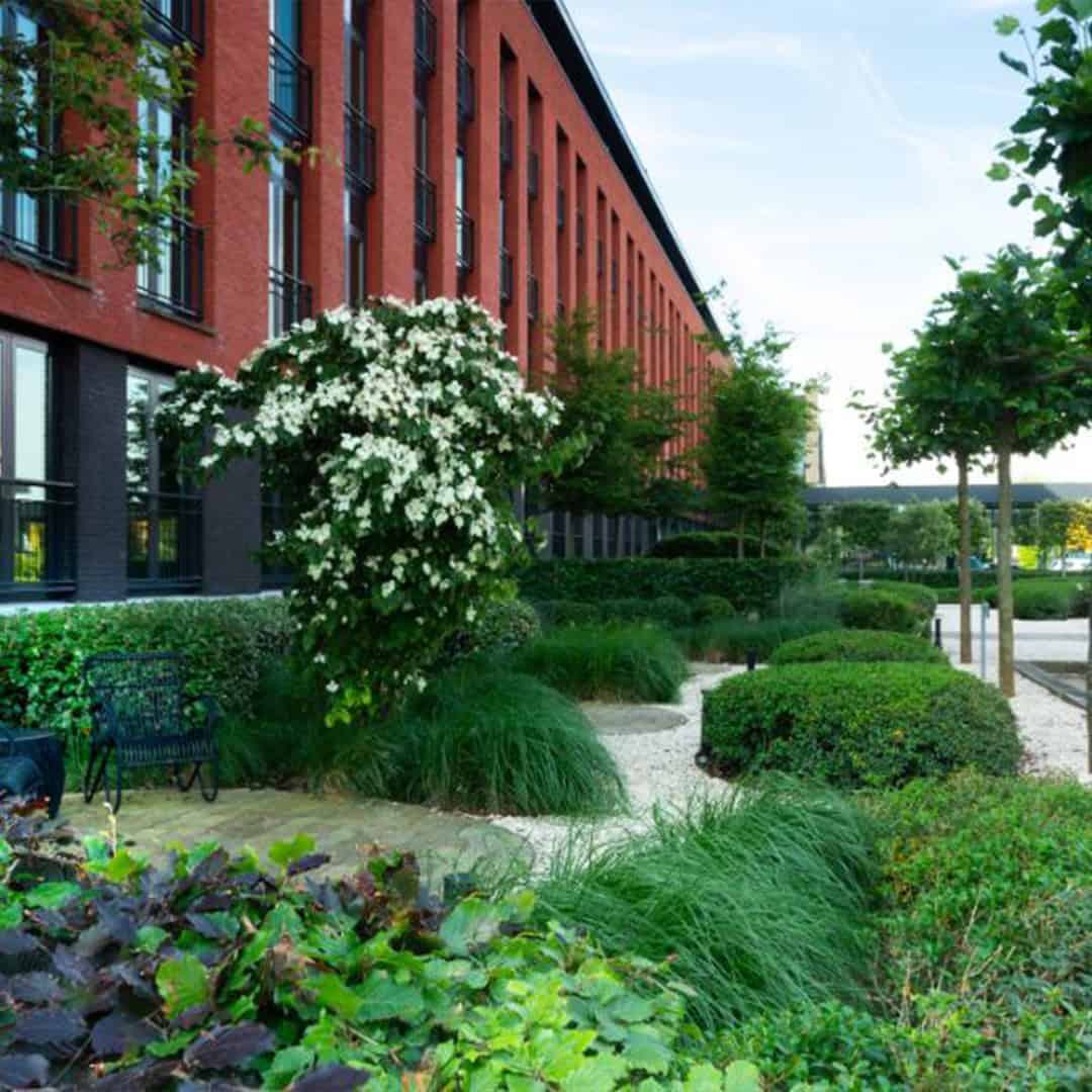 Bedrijfstuinen-Dutch-Quality-Gardens-1x1-01