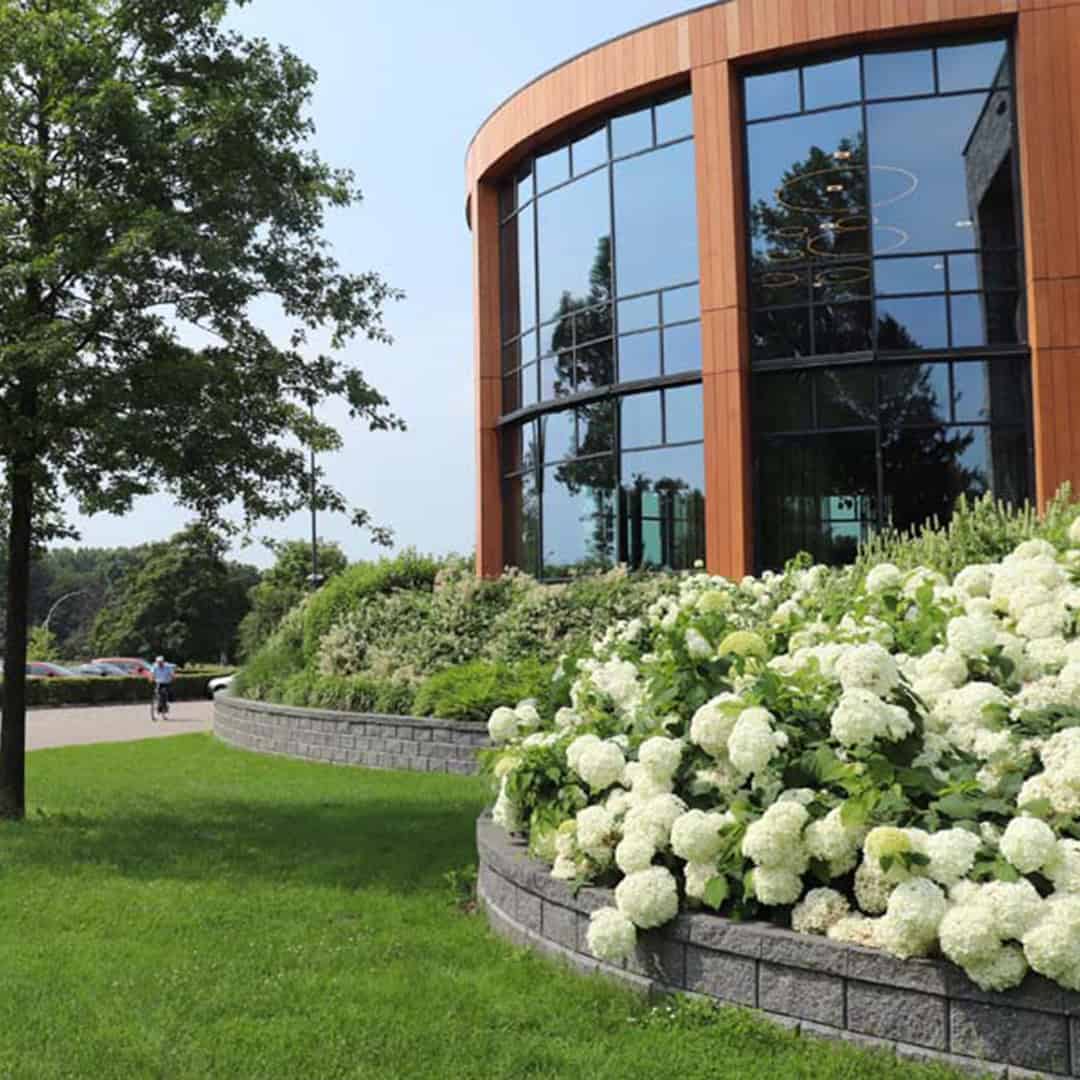 Bedrijfstuinen-Dutch-Quality-Gardens-1x1-03