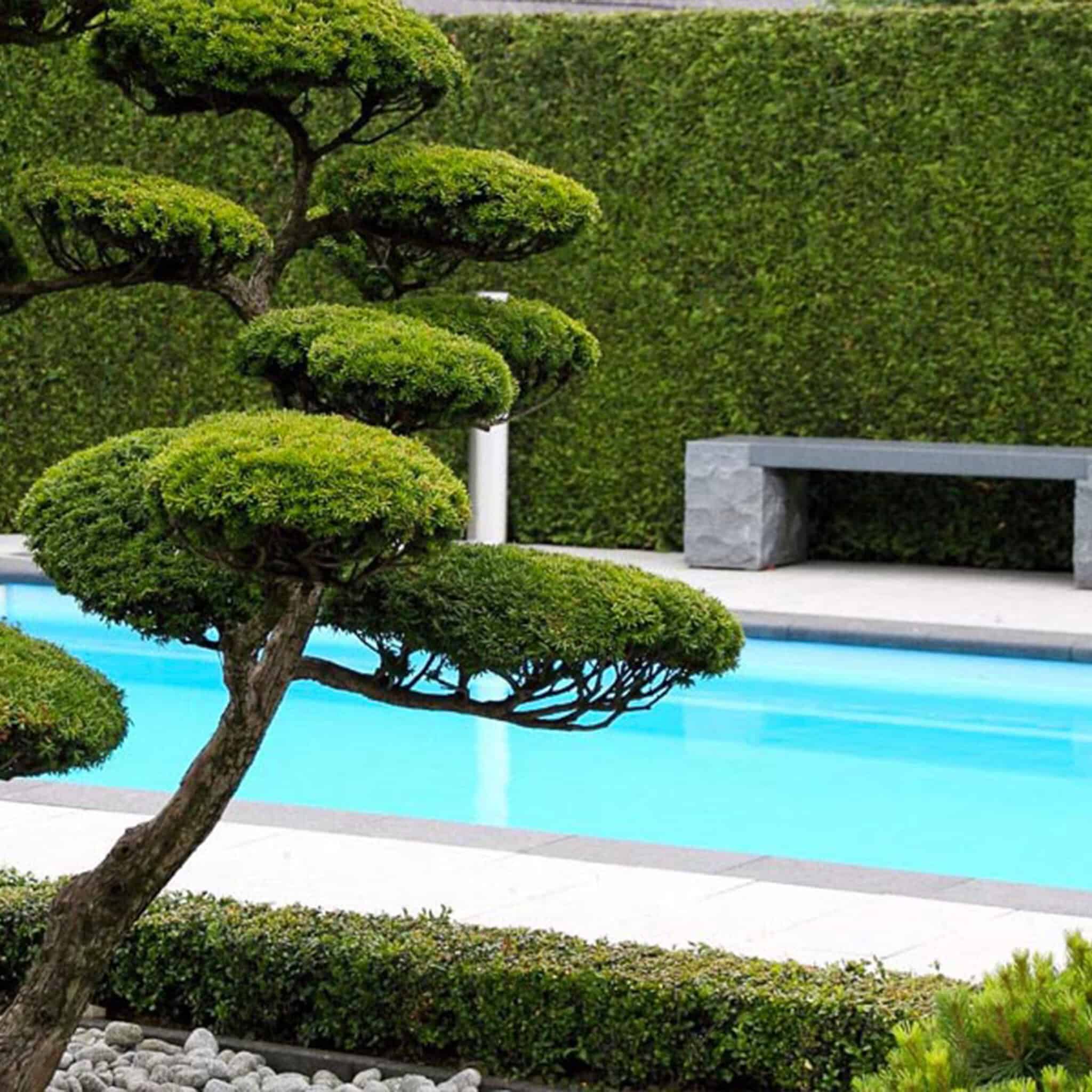 Tuinonderhoud-Dutch-Quality-Gardens-1x1-03