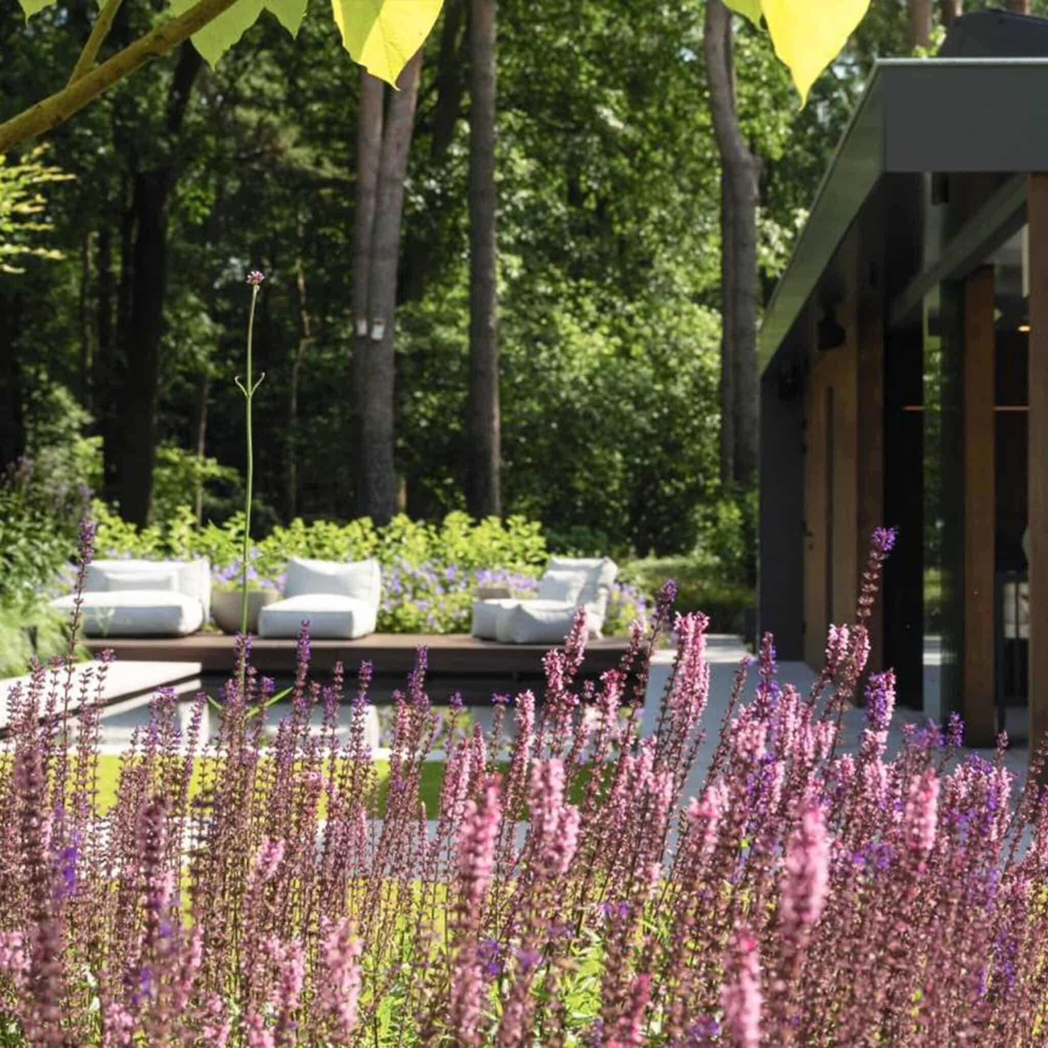 Tuinonderhoud-Dutch-Quality-Gardens-1x1-04