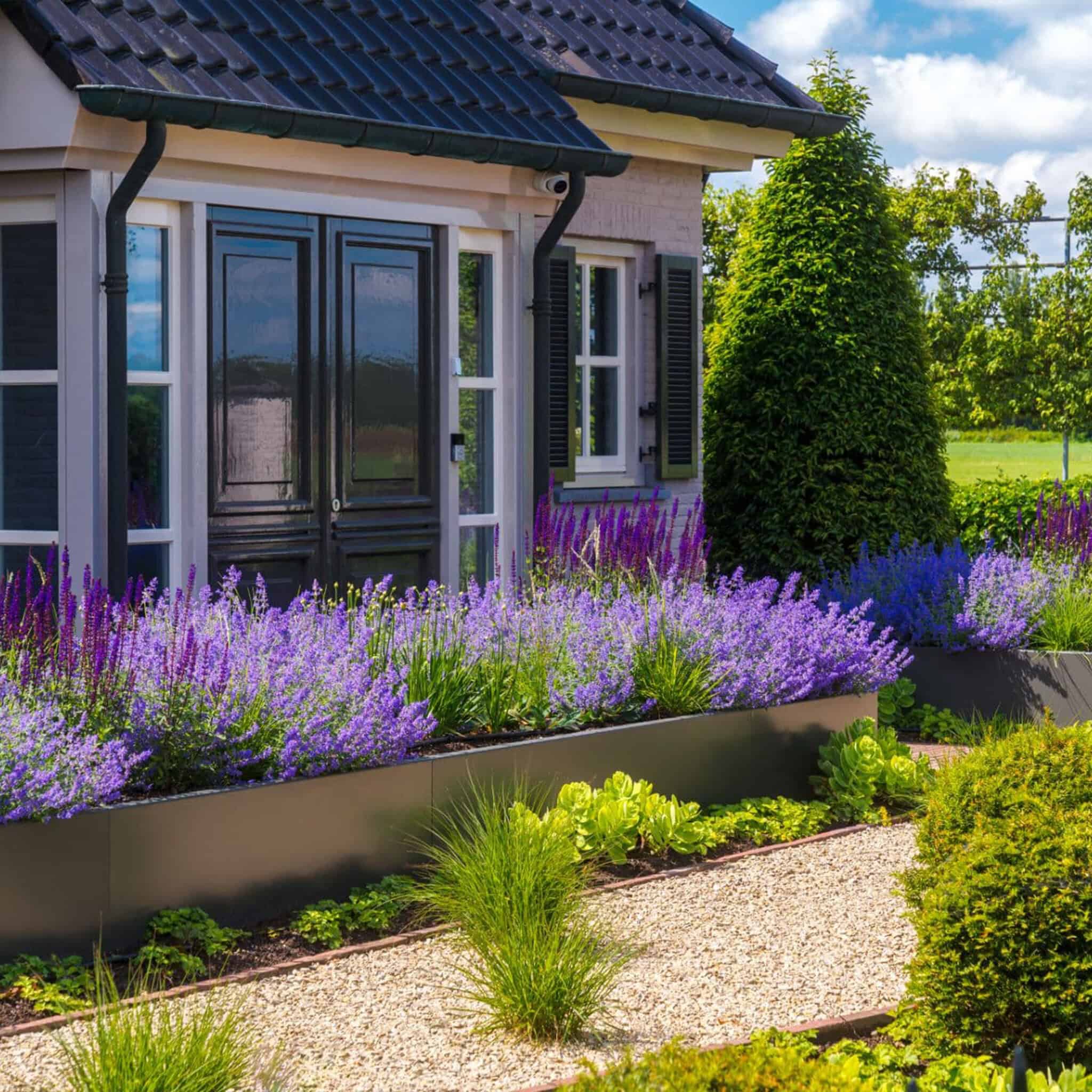 Tuinonderhoud-Dutch-Quality-Gardens-1x1-05