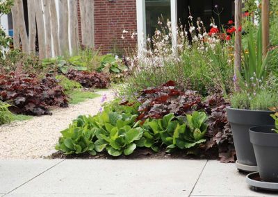 natuurlijke rustige tuin (12)